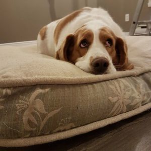 Meet your Posher, Anny